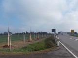 S 286 Ausbau Knotenpunkt mit der K 9310, Pflanzungen am Kreisverkehr 'Zum Graurock' und Renaturierung Lohbach