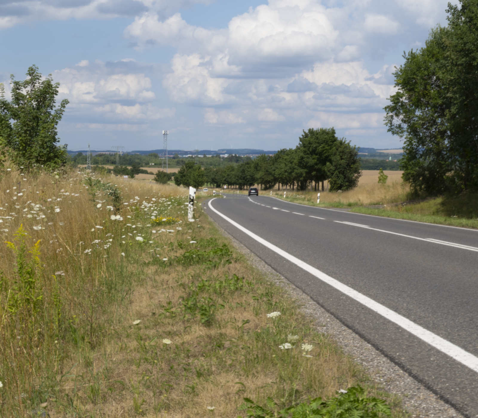 B169 Chemnitz Lichtenwalde, Bundesstraße in der Landschaft mit Alleebäumen