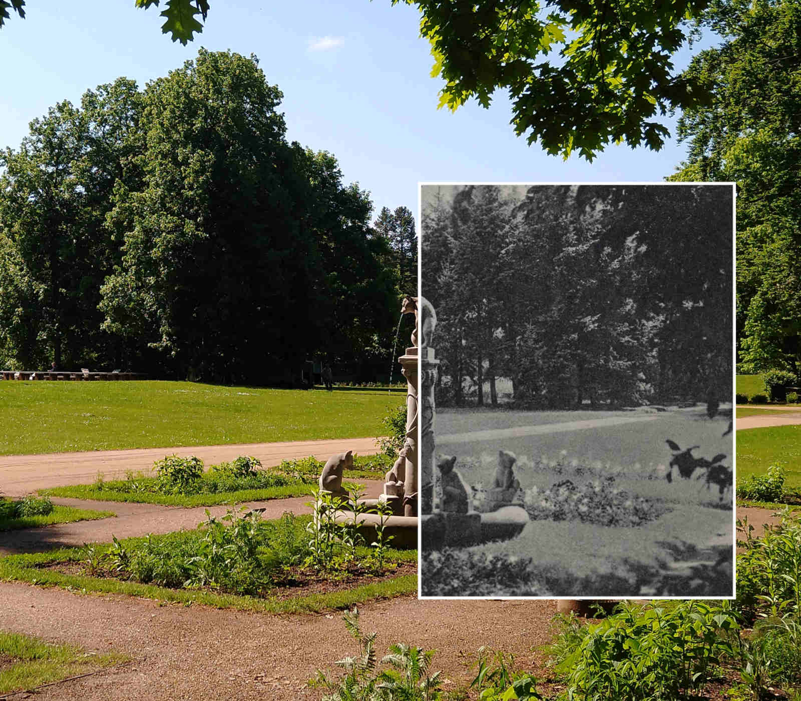 Ostdeutscher Rosengarten Forst (Lausitz), Collage Bärenbrunnen früher heute