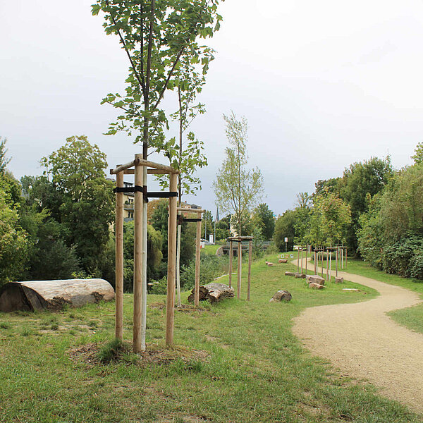 neuer Gehweg durch die Grünanlage mit Bänken und Baumstämmen