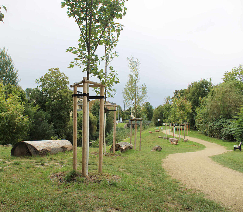 neuer Gehweg durch die Grünanlage mit Bänken und Baumstämmen
