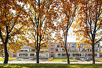 Gemeinsamer Schulhof für neue 145. Oberschule - Dresden Pieschen - Blick durch Bäume