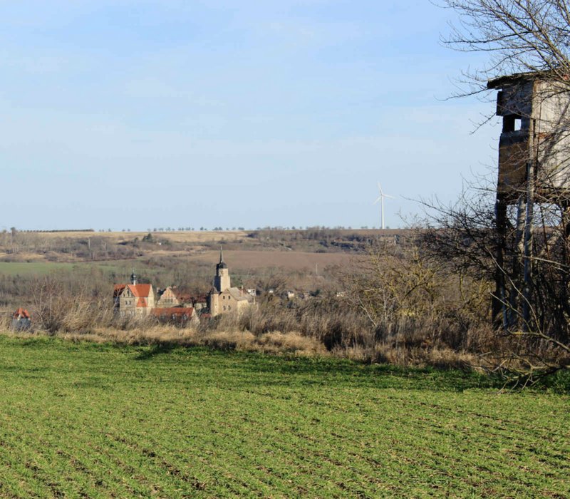 FFH-Vorprüfung in Seeburg - Landschaftsbild mit Hochsitz