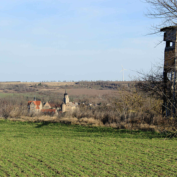 FFH-Vorprüfung in Seeburg - Landschaftsbild mit Hochsitz