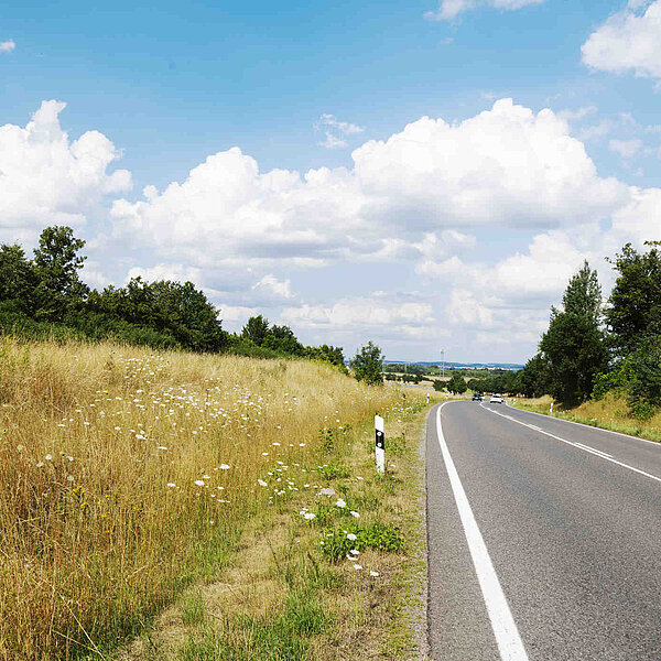 B169 Chemnitz Lichtenwalde, Bundesstraße in der Landschaft mit Alleebäumen