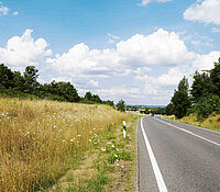 B169 Chemnitz Lichtenwalde, Bundesstraße in der Landschaft mit Alleebäumen