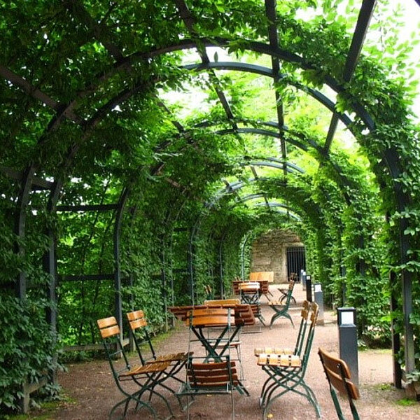 Barocker Schlosspark Lichtenwalde, Laubengang