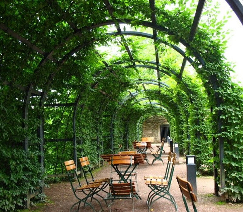 Barocker Schlosspark Lichtenwalde, Laubengang