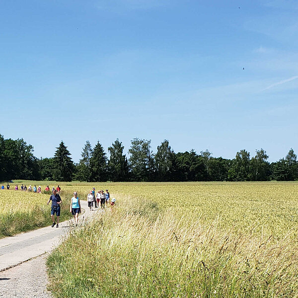 Wanderwege Chemnitz Kulturhauptstadt, Wandersleute von Weitem im Feld