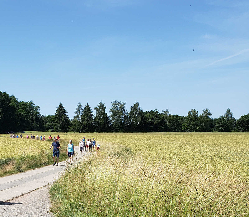 Wanderwege Chemnitz Kulturhauptstadt, Wandersleute von Weitem im Feld