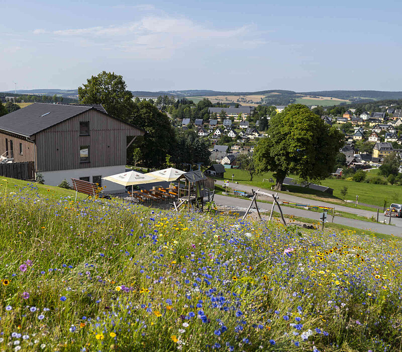 Seiffen Wellnessresort Erlebnisdorf, Hotel mit Terrasse, Blumenwiese, Blick auf Seiffen