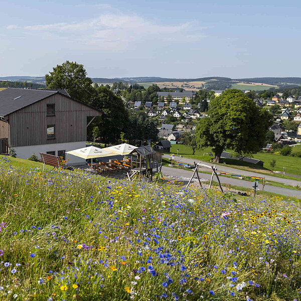 Seiffen Wellnessresort Erlebnisdorf, Hotel mit Terrasse, Blumenwiese, Blick auf Seiffen