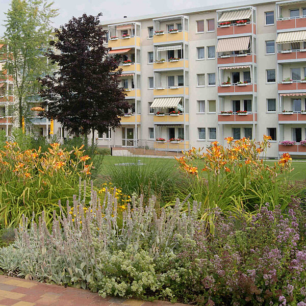 Wohngebietspark CAWG Chemnitz, Staudenpflanzung