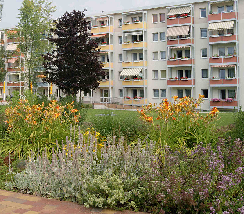 Wohngebietspark CAWG Chemnitz, Staudenpflanzung
