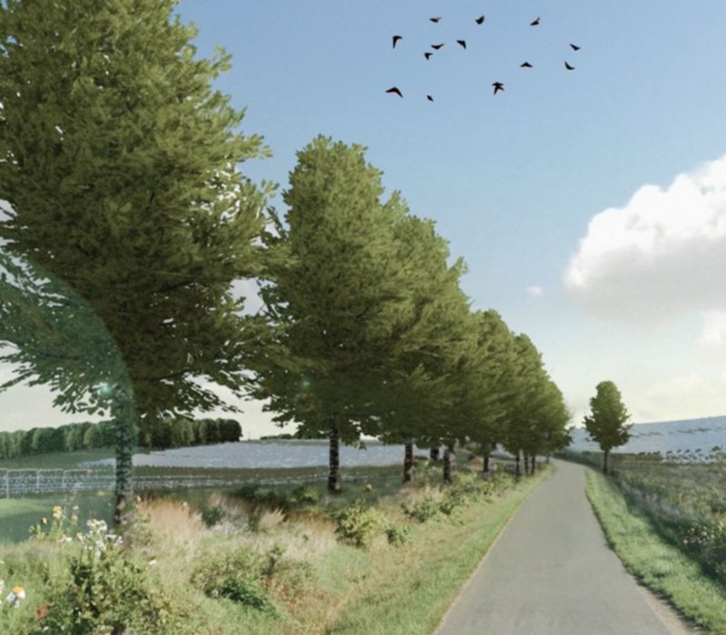 Freiflächen-Photovoltaikanlage Zethau Mulda/Sa. - Visualisierung mit Weg und Bäume