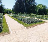 Denkmalgerechte Sanierungen im Ostdeutschen Rosengarten Forst (Lausitz) - Wege und Blumenanlage