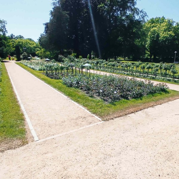 Denkmalgerechte Sanierungen im Ostdeutschen Rosengarten Forst (Lausitz) - Wege und Blumenanlage