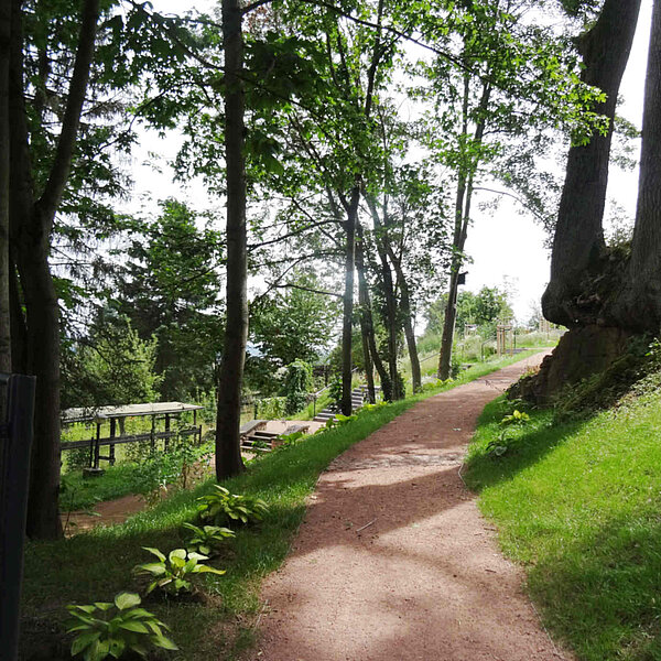 Erstanlage des Kurfürstin-Anna-Gartens - Augustusburg - Waldweg
