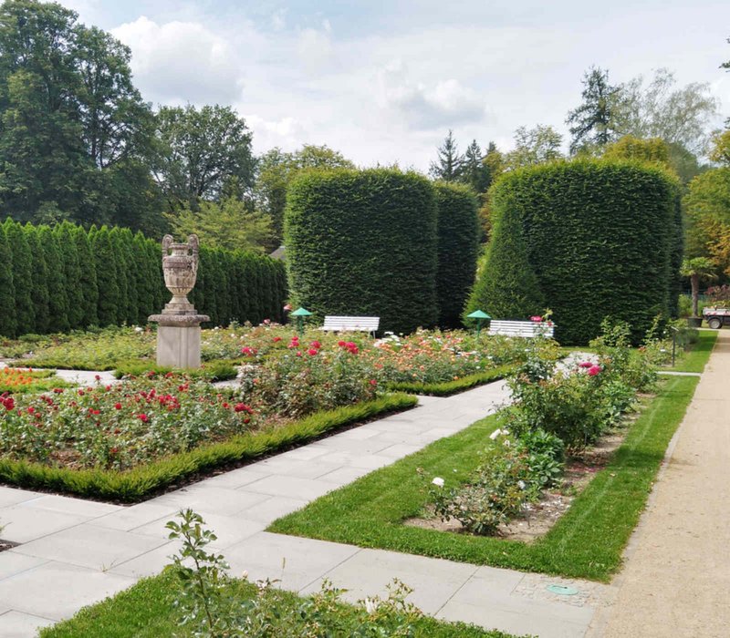 Denkmalgerechte Sanierungen im Ostdeutschen Rosengarten Forst (Lausitz) - Rosenbeete