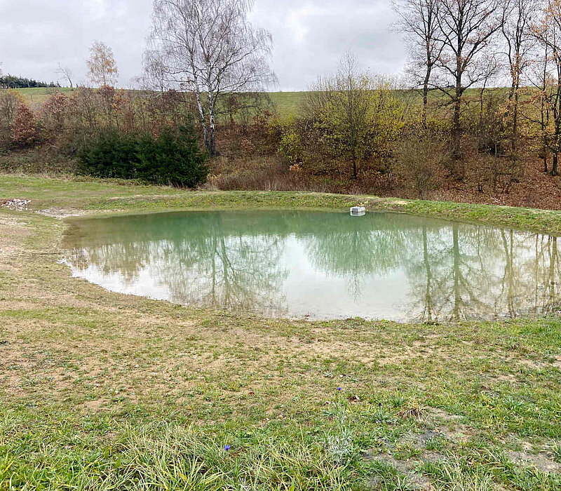 neu angelegter Teich am Ackerrand