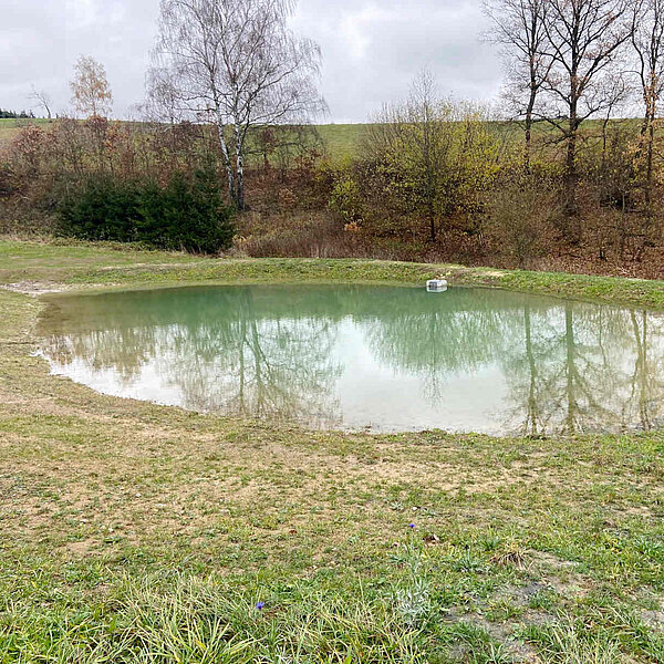 neu angelegter Teich am Ackerrand
