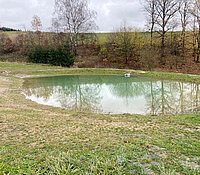 neu angelegter Teich am Ackerrand