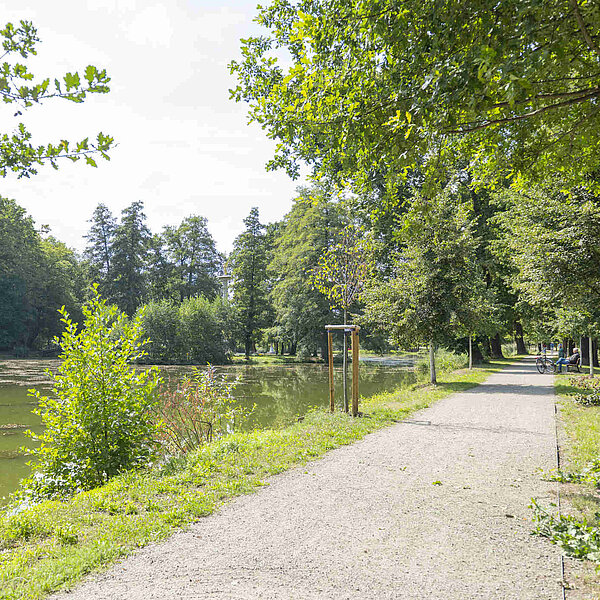 Gründelallee Schloss Glauchau, sanierte Gründelallee mit Ufern