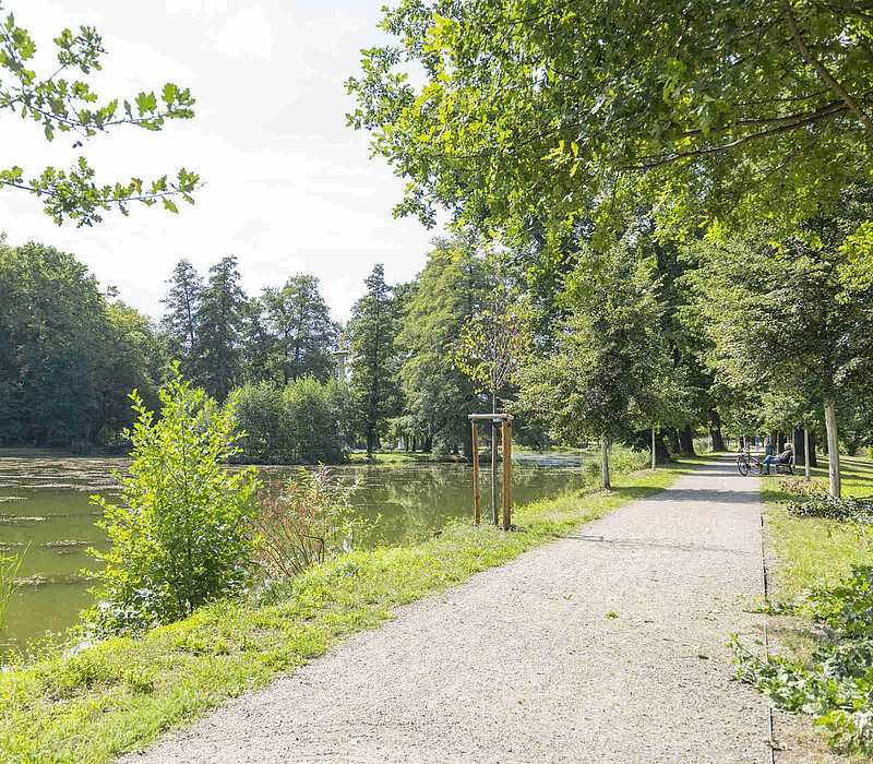 Gründelallee Schloss Glauchau, sanierte Gründelallee mit Ufern