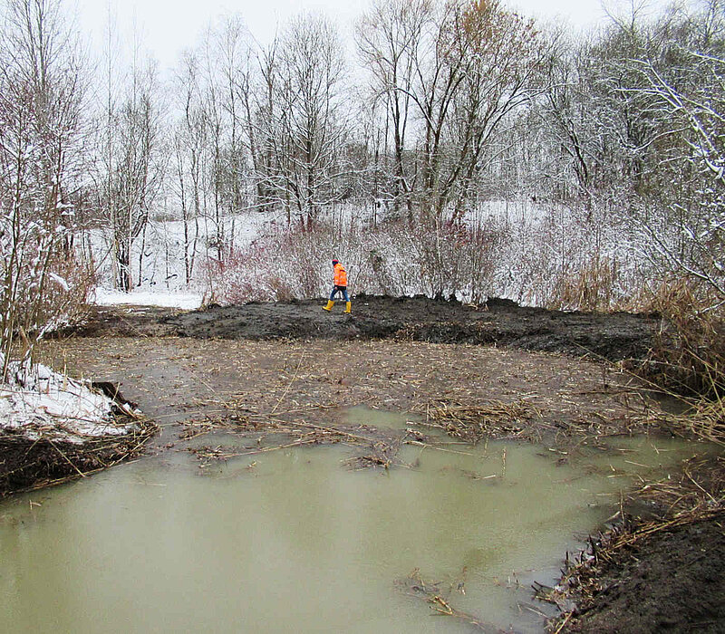 Teich im Winter, Schlamm und Schilfreste
