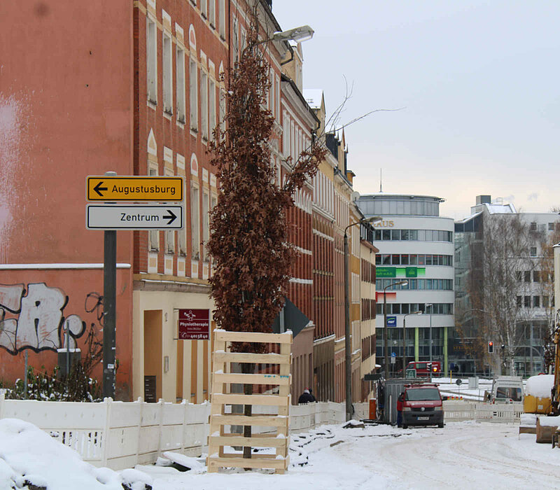 UBB Zietenstraße Chemnitz, eingehauster junger Baum an verschneiter Straße