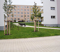 Wohnumfeld Irkutsker Straße Chemnitz, Rasenfläche und Weg