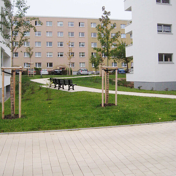 Wohnumfeld Irkutsker Straße Chemnitz, Rasenfläche und Weg