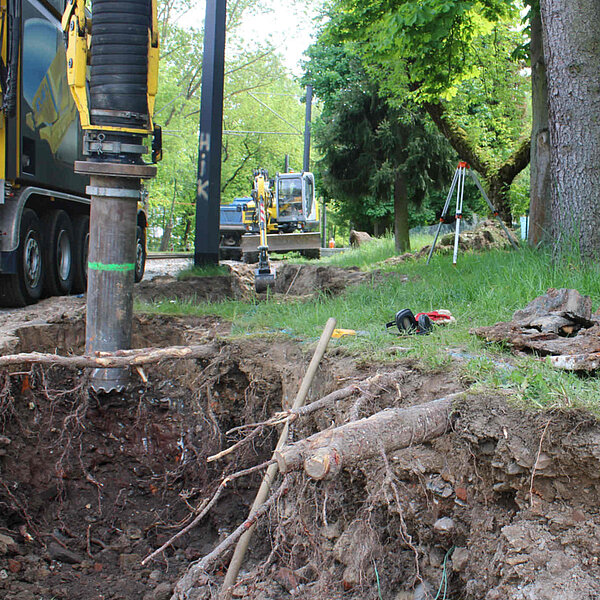 UBB Gablenzplatz Chemnitz, abgeschnittene Starkwurzel auf einer Baustelle