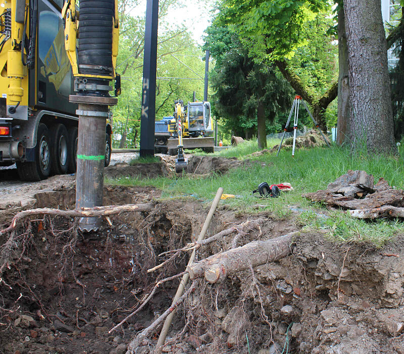 UBB Gablenzplatz Chemnitz, abgeschnittene Starkwurzel auf einer Baustelle