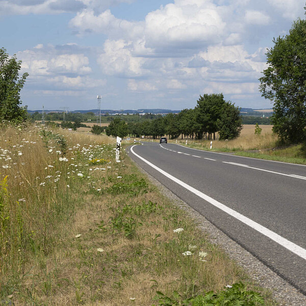 B169 Chemnitz Lichtenwalde, Bundesstraße in der Landschaft mit Alleebäumen