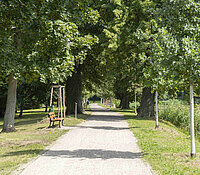 Gründelallee Schloss Glauchau, Parkweg mit Altbaumbestand und Neupflanzung